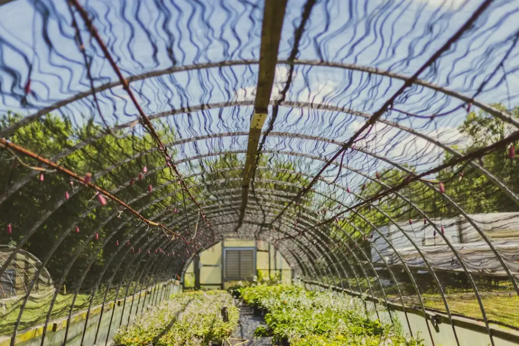 GPS模块与北斗模块选型对比：定位终端制造商如何匹配高灵敏度方案