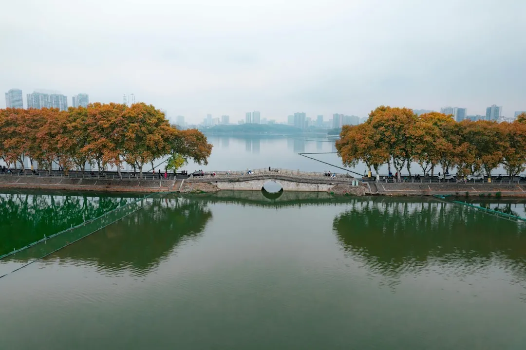 物联网终端设计中GPS模块与北斗模块的选型要点解析