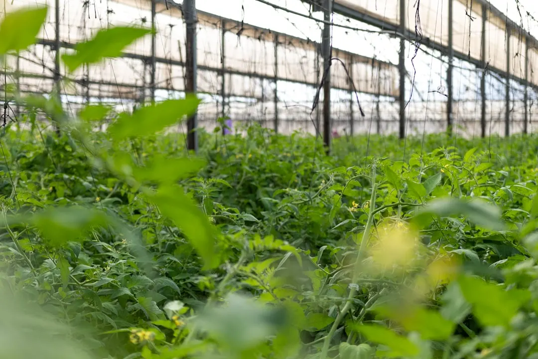 北斗模块与GPS模块在城市峡谷环境下的定位性能对比分析
